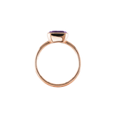 ANIKA_amethyst (1).png