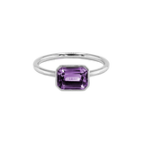 ANIKA_amethyst (2).png