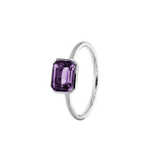 ANIKA_amethyst (7).png