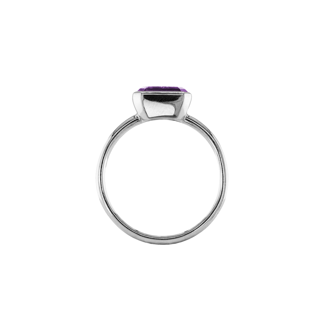 ANIKA_amethyst (8).png