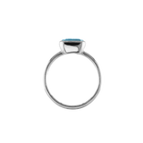 ANIKA_blautopashell (8).png