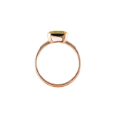 ANIKA_goldcitrin (2).png