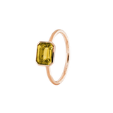 ANIKA_goldcitrin (7).png