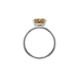 Ring BLISSI