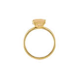 Ring BLISSI