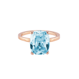 Ring BLISSI