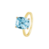 Ring BLISSI - The SISS BLISS GmbH