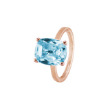 Ring BLISSI