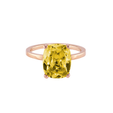 Ring BLISSI