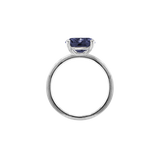 Ring BLISSI