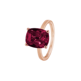 Ring BLISSI