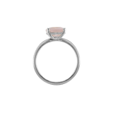 Ring BLISSI