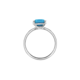 Ring BLISSI