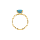 Ring BLISSI