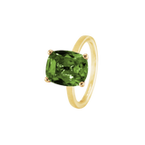 Ring BLISSI