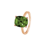 Ring BLISSI