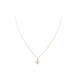 Diamantbuchstabe EMMA (N) & Kette HEDI Roségold - The SISS BLISS GmbH