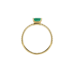 Ring SMILLA Gelbgold Gr. 53 - The SISS BLISS