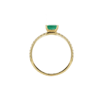 Ring SMILLA - The SISS BLISS