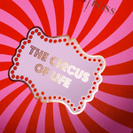 The ADVENT CALENDAR - The SISS BLISS