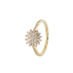 Ring ZAHA - The SISS BLISS GmbH