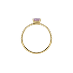 Ring SMILLA - The SISS BLISS