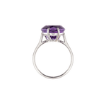 Ring SUSI Weißgold Gr. 59 - The SISS BLISS