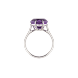 Ring SUSI Weißgold Gr. 59 - The SISS BLISS