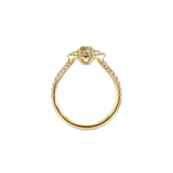 Ring ADA - The SISS BLISS