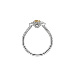 Ring ADA - The SISS BLISS