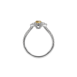 Ring ADA - The SISS BLISS