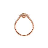 Ring ADA - The SISS BLISS