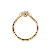 Ring ALMA - The SISS BLISS