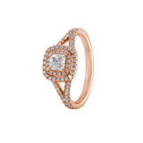 Ring ALMA - The SISS BLISS