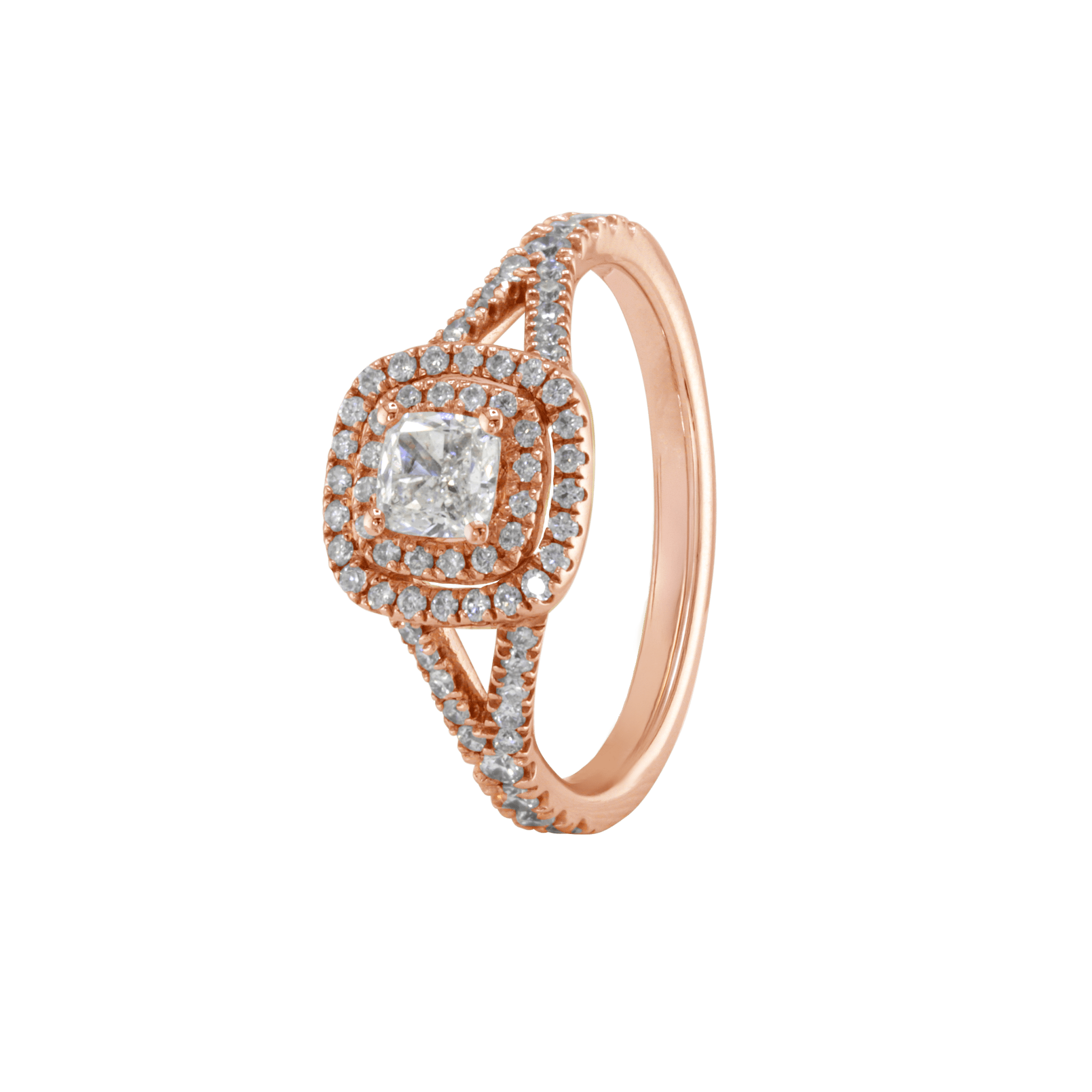 Ring ALMA - The SISS BLISS