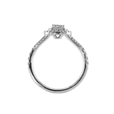 Ring ALMA - The SISS BLISS