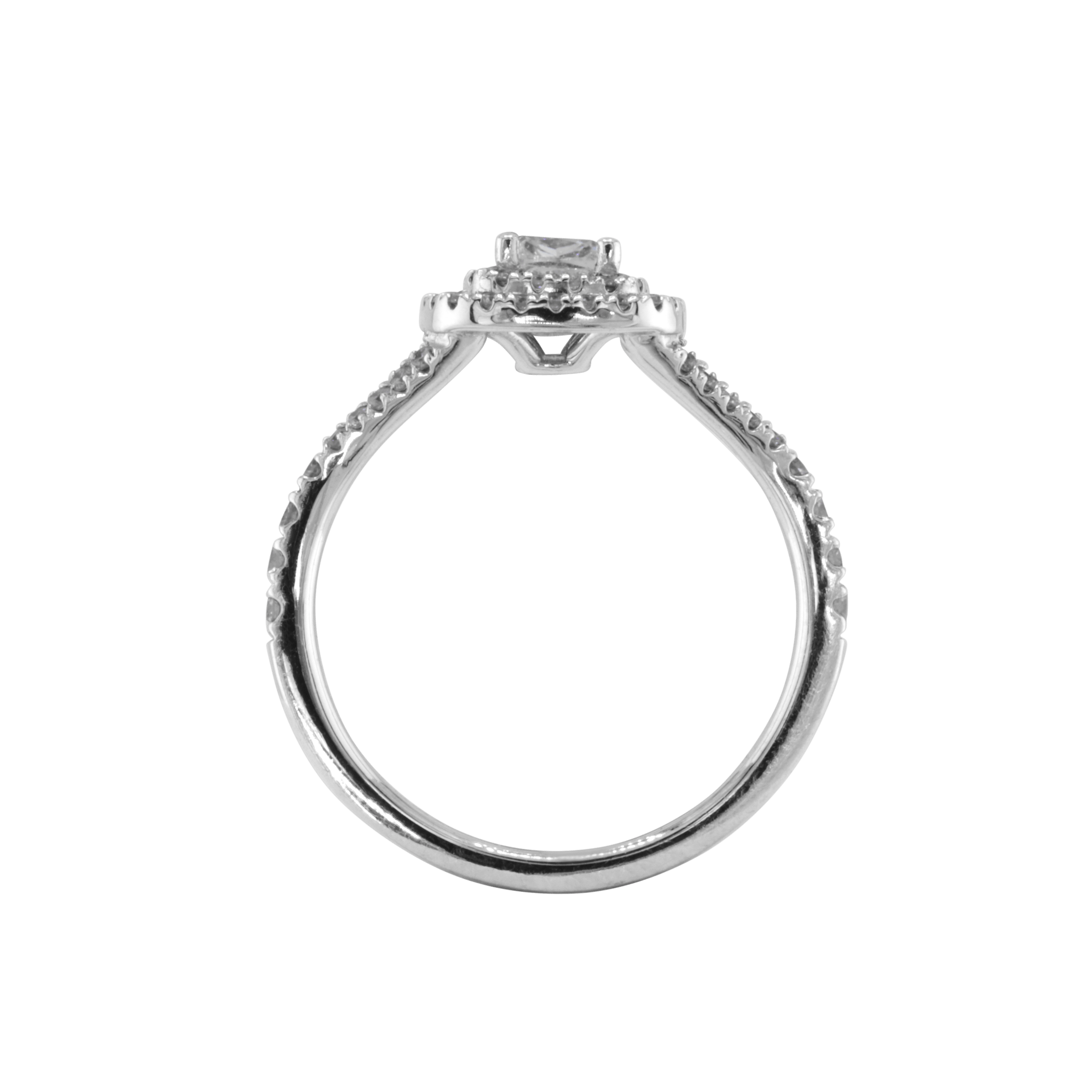 Ring ALMA - The SISS BLISS