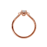 Ring ALMA - The SISS BLISS