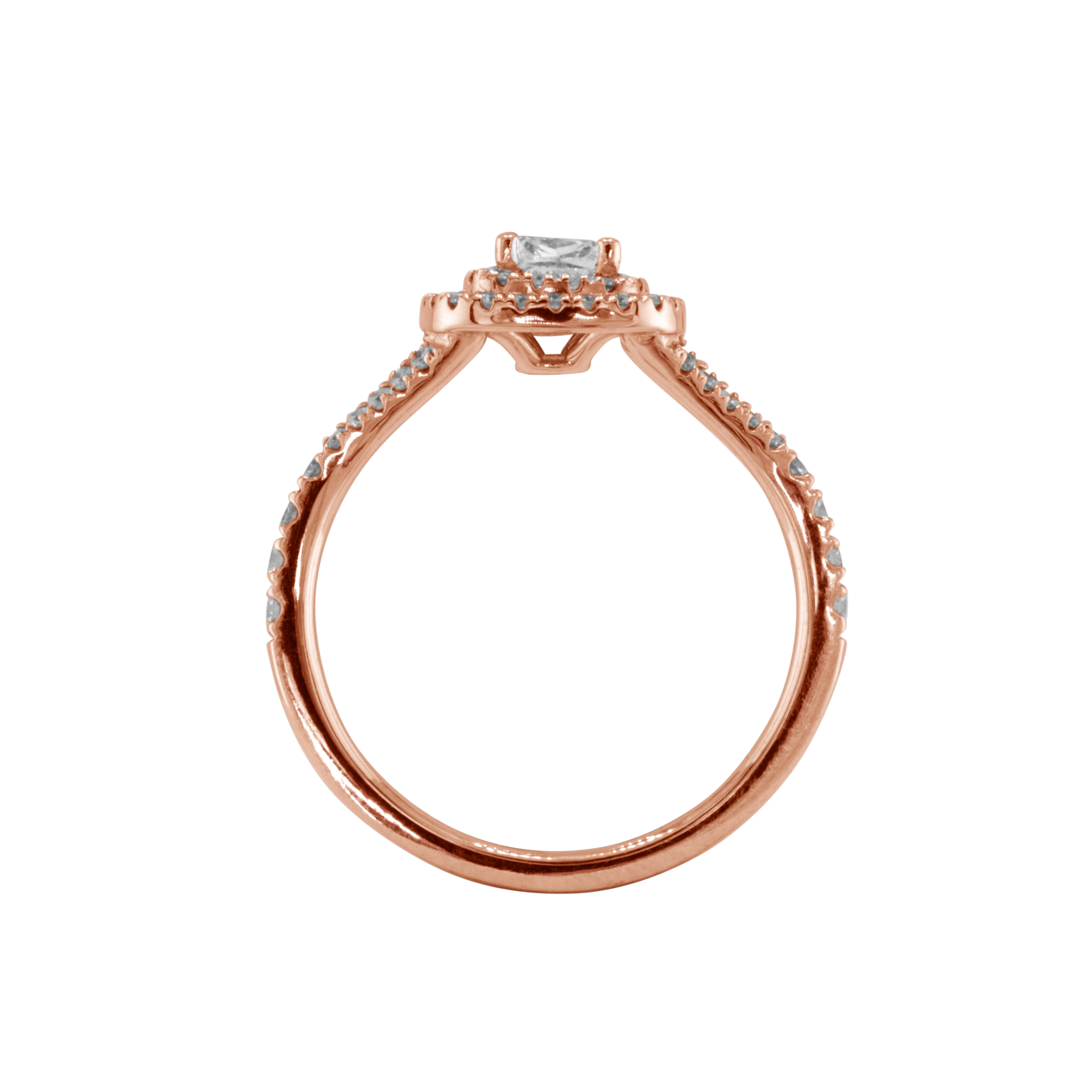 Ring ALMA - The SISS BLISS