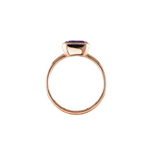 ANIKA_amethyst (1).png