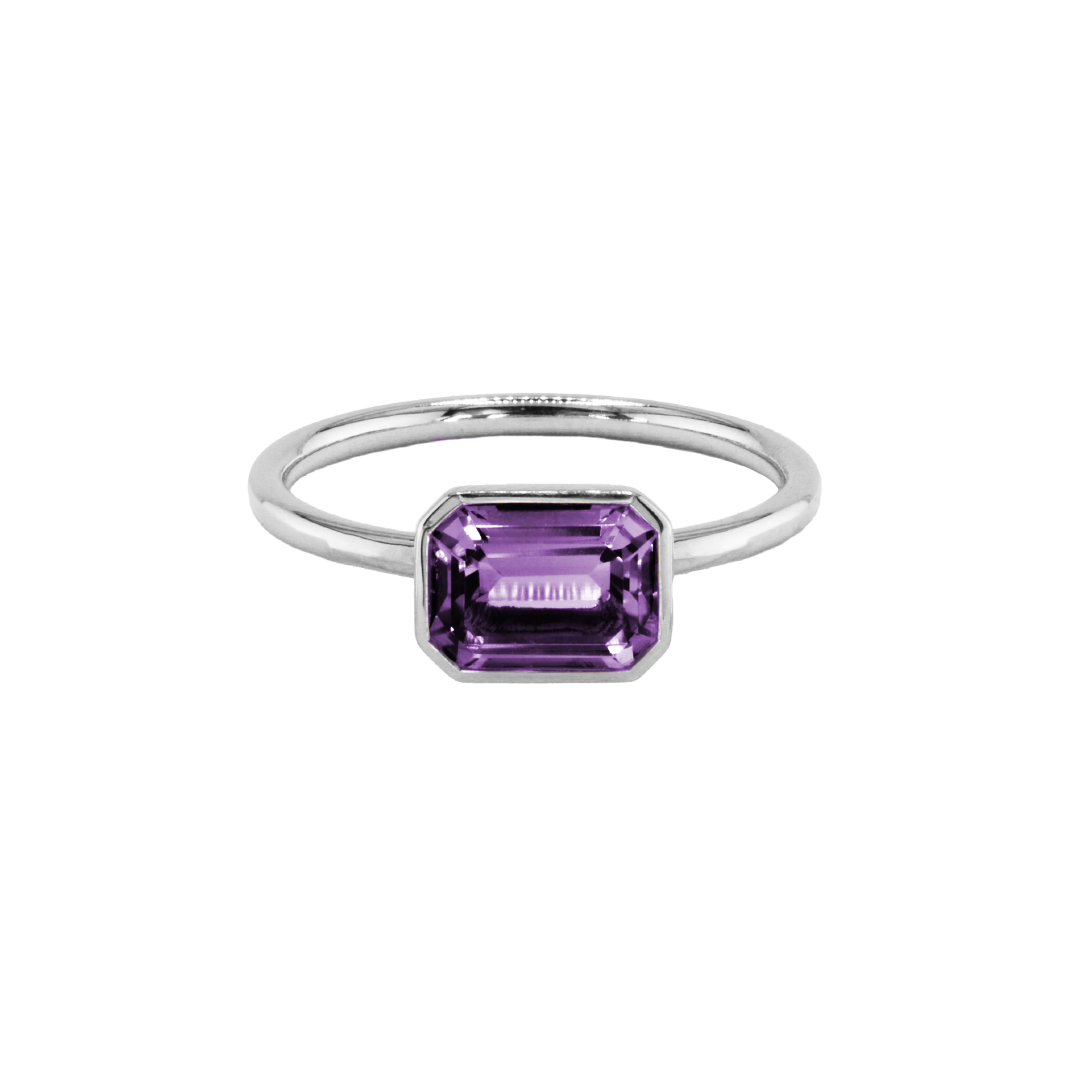 ANIKA_amethyst (2).png