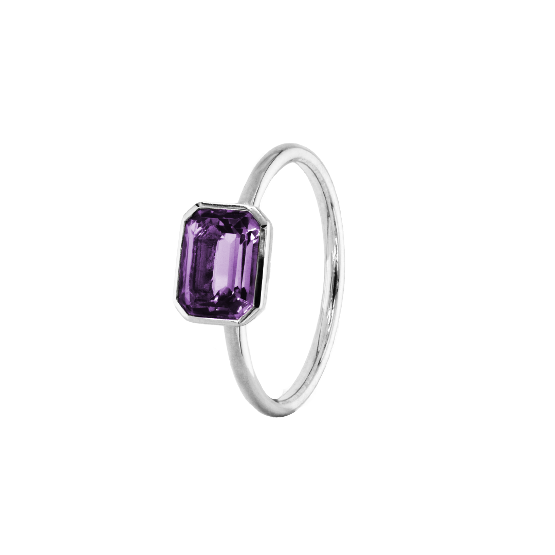 ANIKA_amethyst (7).png