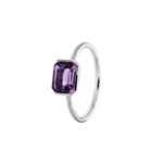 ANIKA_amethyst (7).png