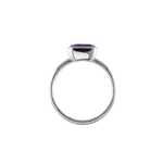 ANIKA_amethyst (8).png