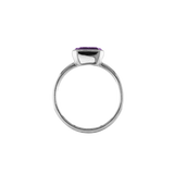 ANIKA_amethyst (8).png