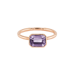 ANIKA_amethystflieder (8).png