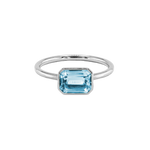 ANIKA_blautopashell (2).png