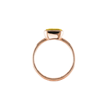 ANIKA_goldcitrin (2).png