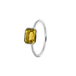 ANIKA_goldcitrin (5).png