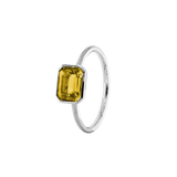 ANIKA_goldcitrin (5).png